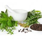 herbs.jpg